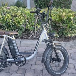 RAD POWER RadRunner PLUS*EXCELLENT CONDITION!