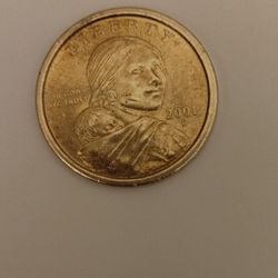 One Dollar US Liberty Coin 2001D Native American 