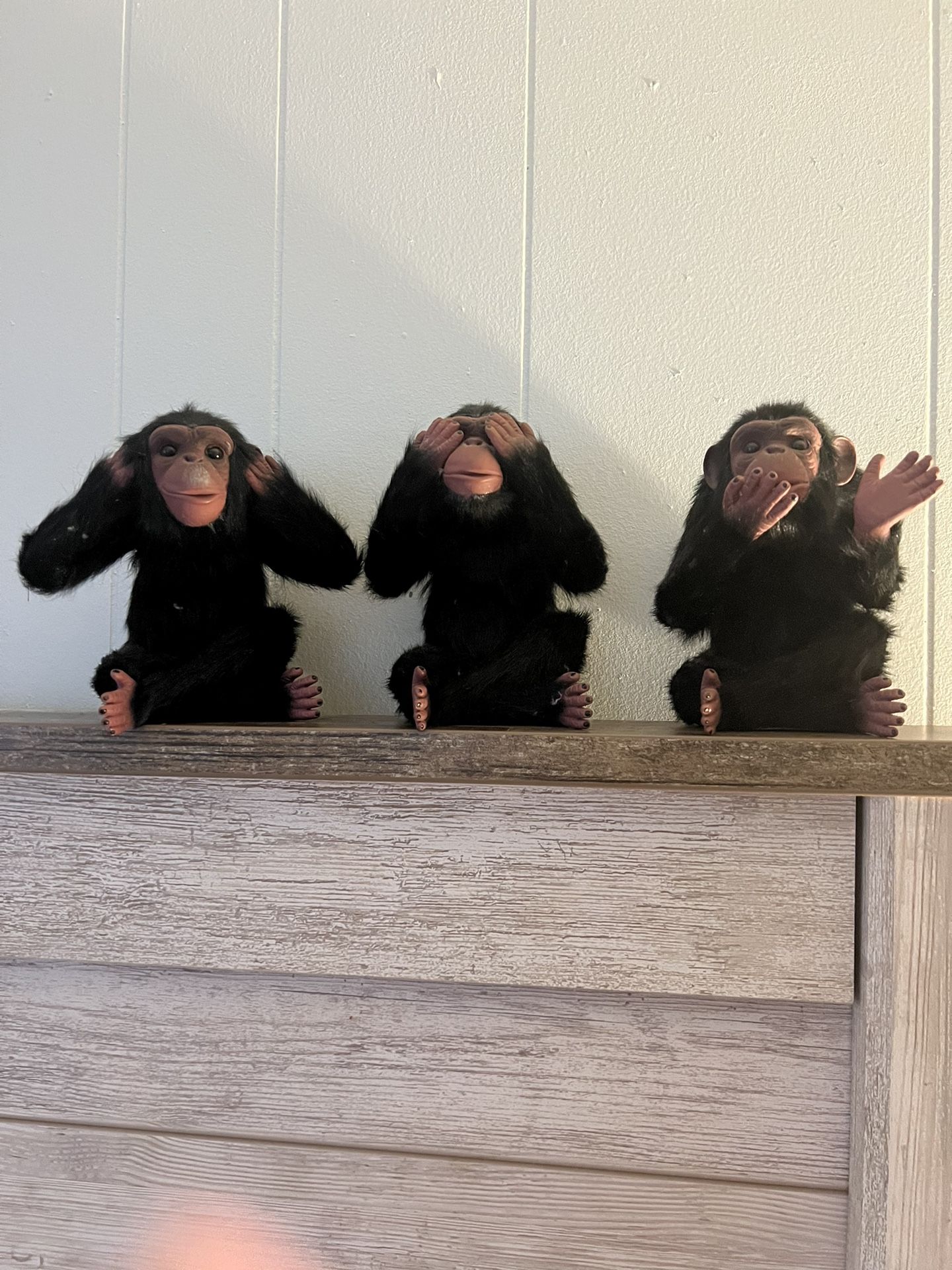 No Evil Monkeys