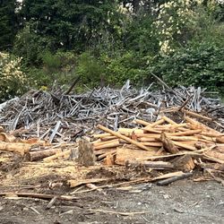 Firewood