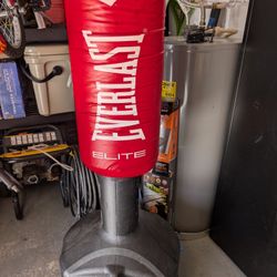 Everlast Punching Bag Free Standing
