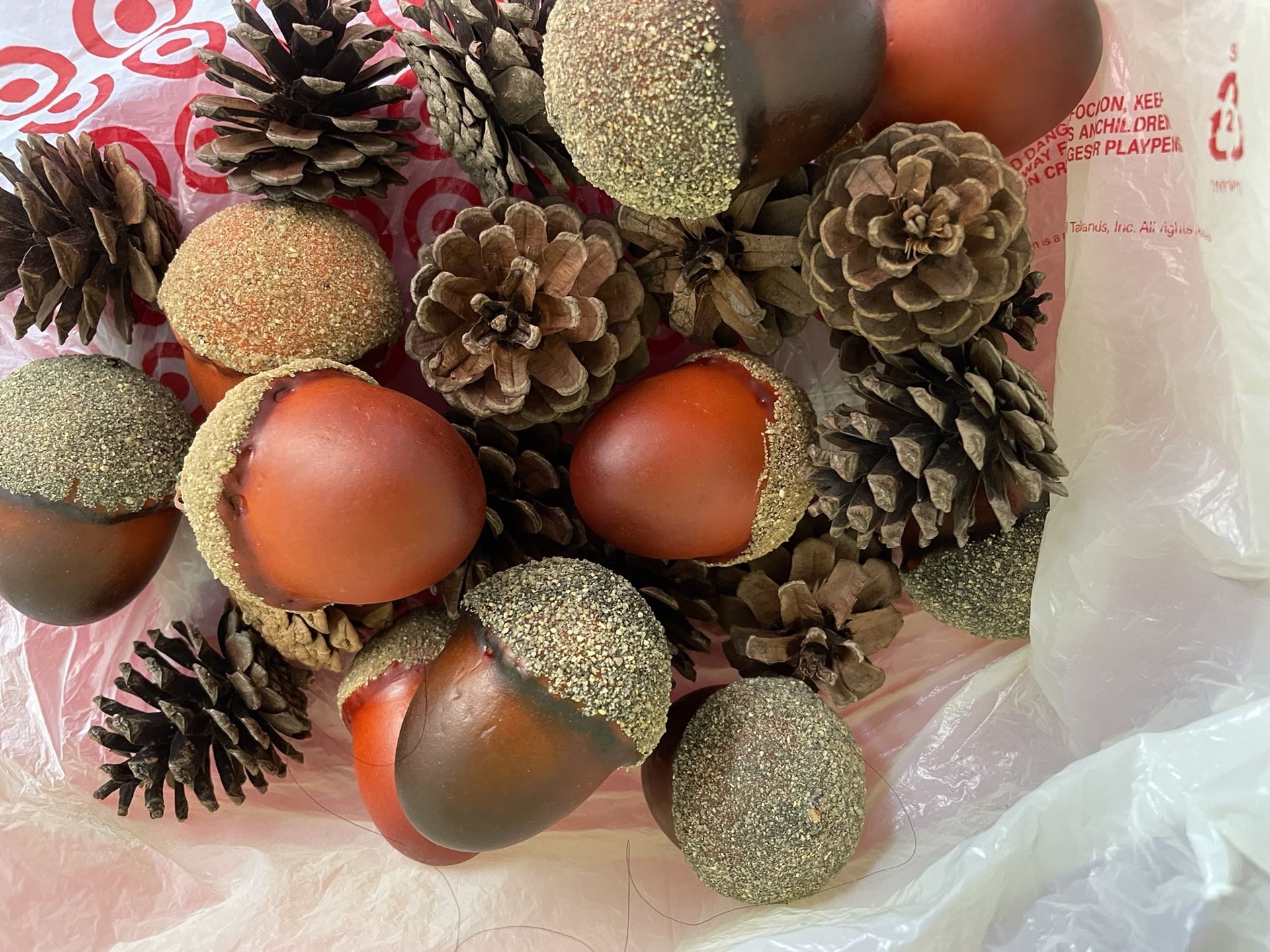 Bag Of Pine Cones And Acorns