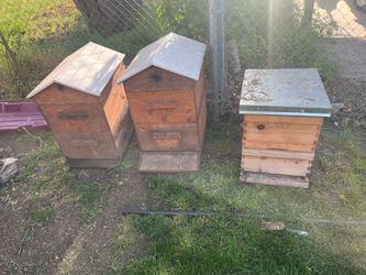 Beehive