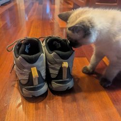 Merrell Men's Size 10 Hiking Boots Excellent Condition