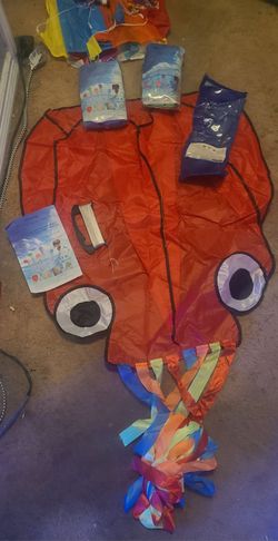 Kids Kites
