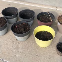 Flower Pots………1  DOLLAR   EACH