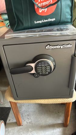Sentry Safe - $100