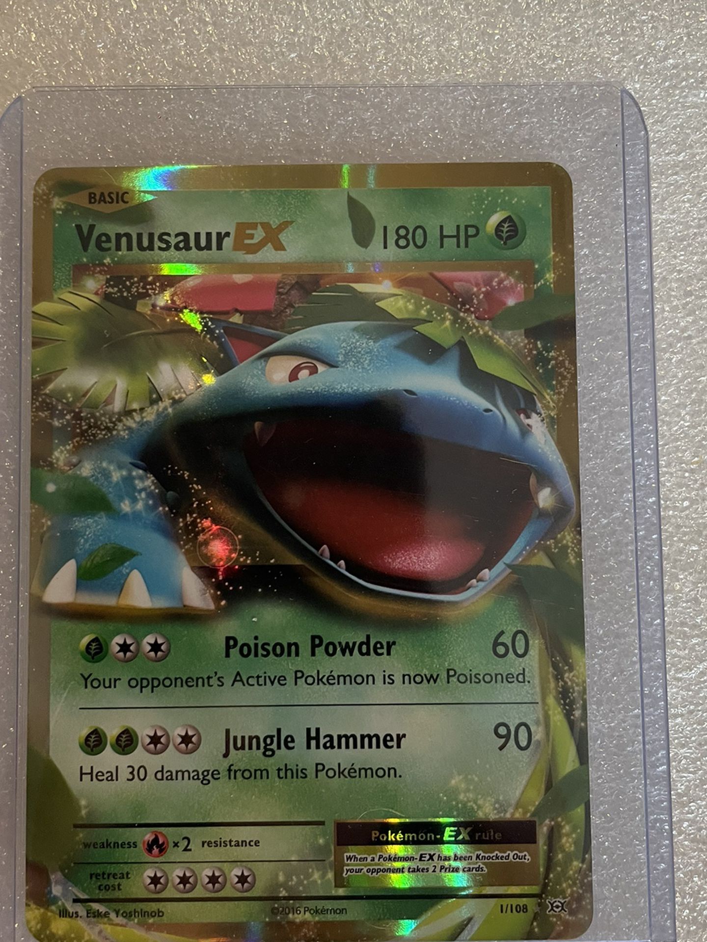 Venusaur Ex Pokémon evolution