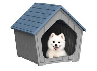Dog House
