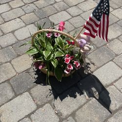 HANDMADE LIVE FLOWER BASKETS BLOOMS ALL SUMMER