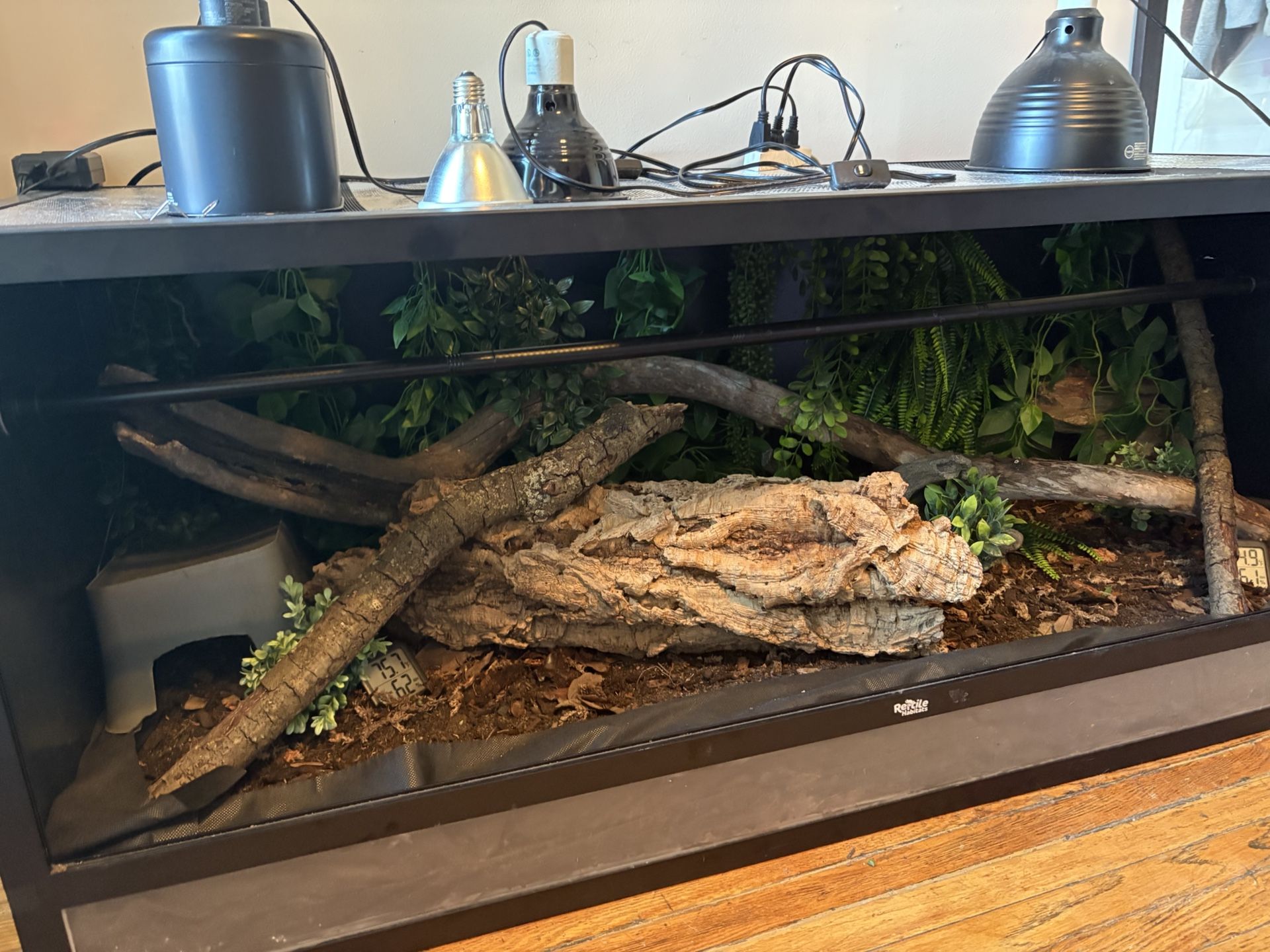Terrarium And Kaa