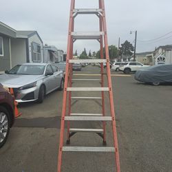 8ft Ladder 