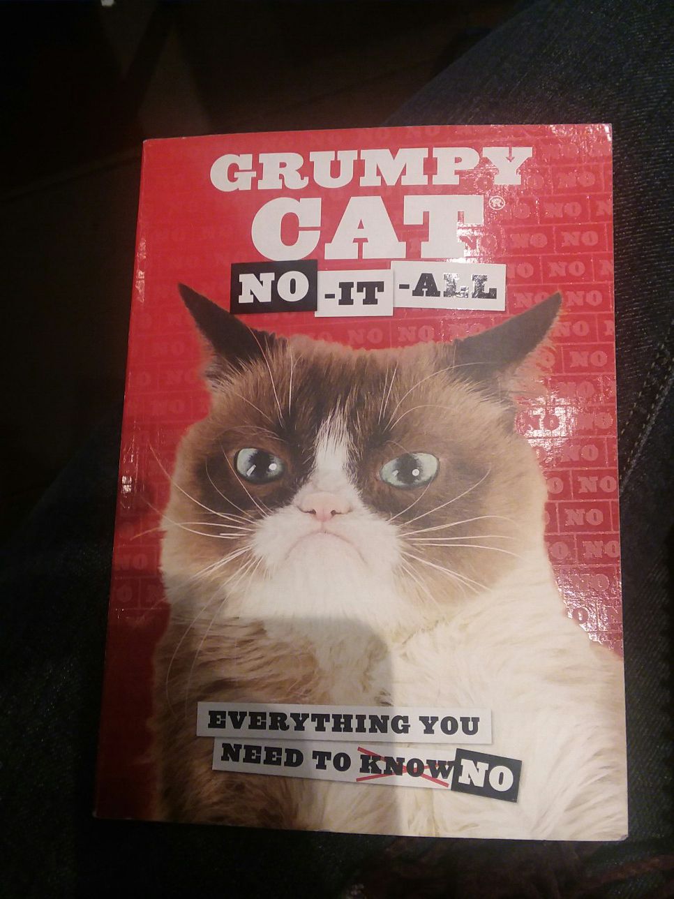 Grumpy cat book