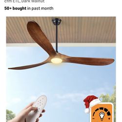 Outdoor Ceiling Fan 
