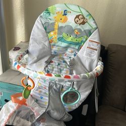 Baby Bouncer 
