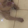 Brillana Orozco