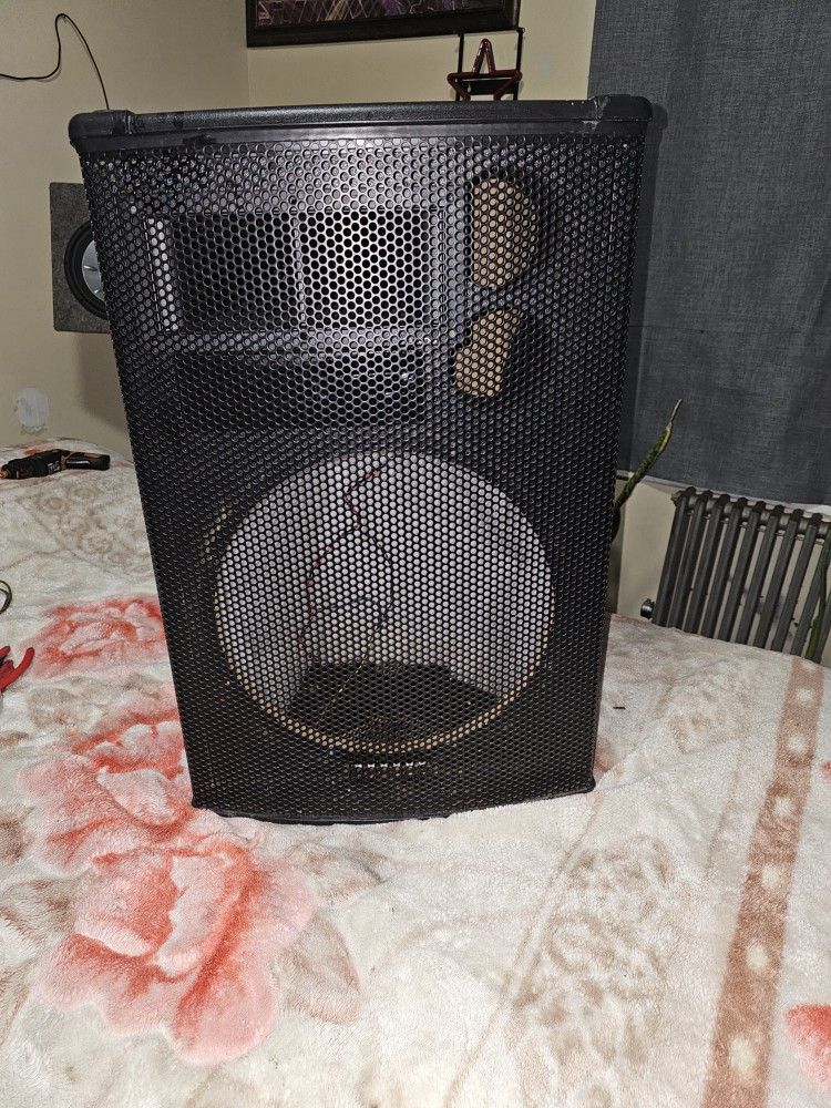 15 Imch Speaker Box Hold Plenty Of Bass With Horn