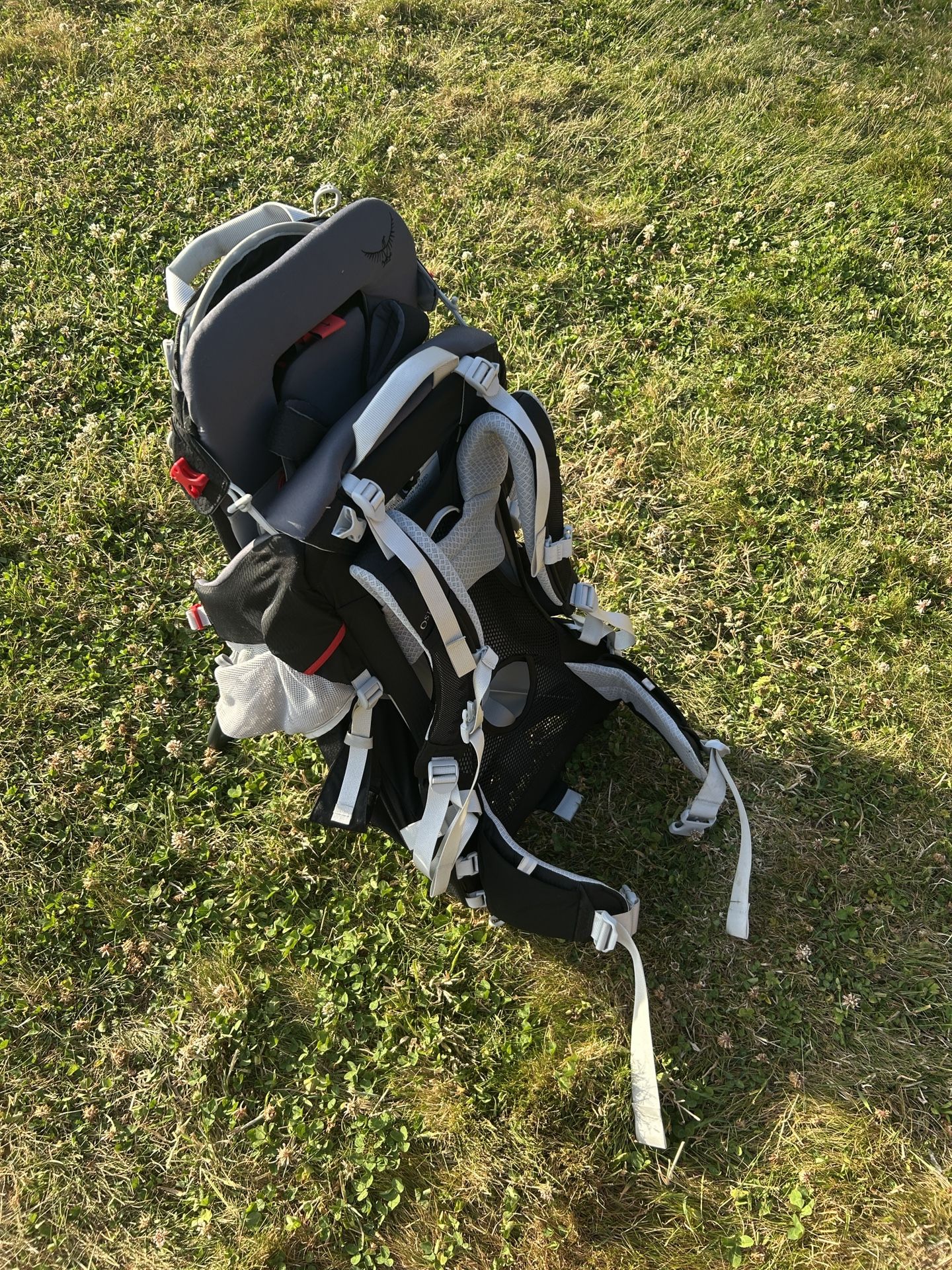 Osprey Poco