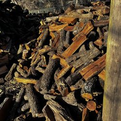 Mesquite Firewood 