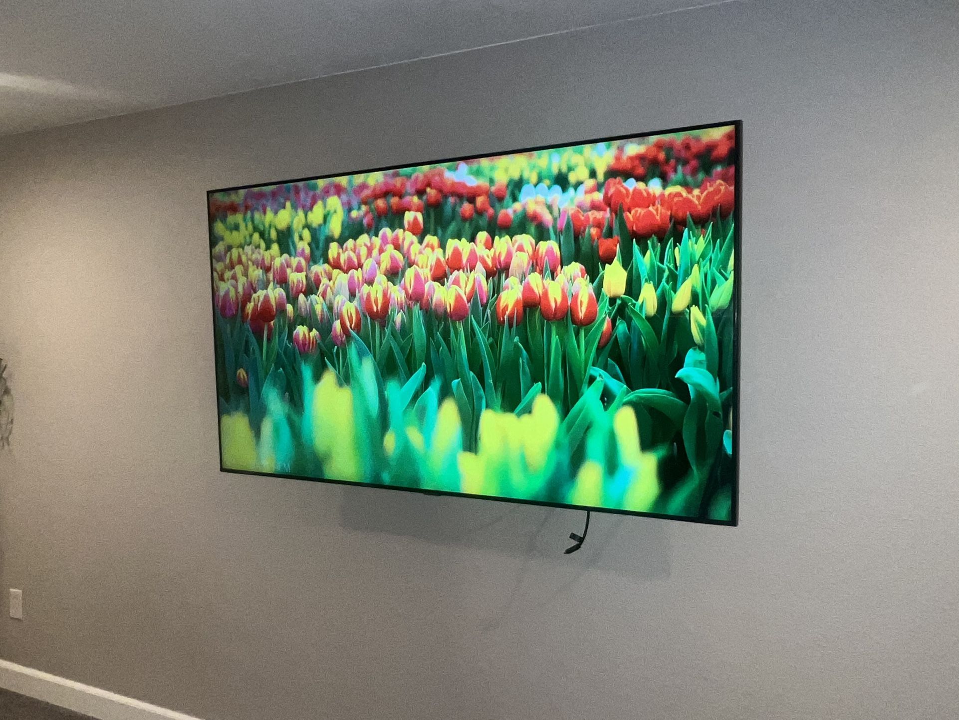 65” Samsung TV OLED