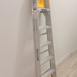 6 ft. Aluminum Step Ladder (10 ft. Reach Height) with 250 lb. Load Capacity Type I Duty Rating