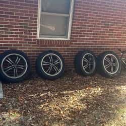 20 In MSR Rims 
