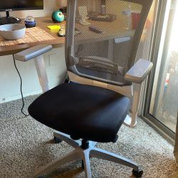 Quip Task Chair - High End Office Furniture 
