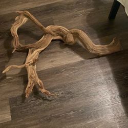 Wood For Reptiles And Other Pets