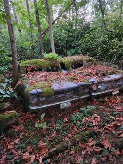 62 and 63 Corvair parts