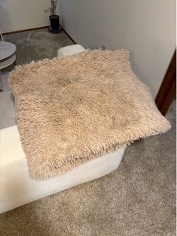 New big Beige Rug $25