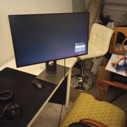 Screen Monitor Dell Like VeryGood 