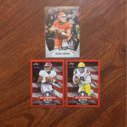 Rookie Lot 