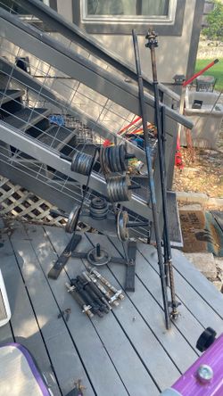 Weight Plate Holder Tree With Weights 