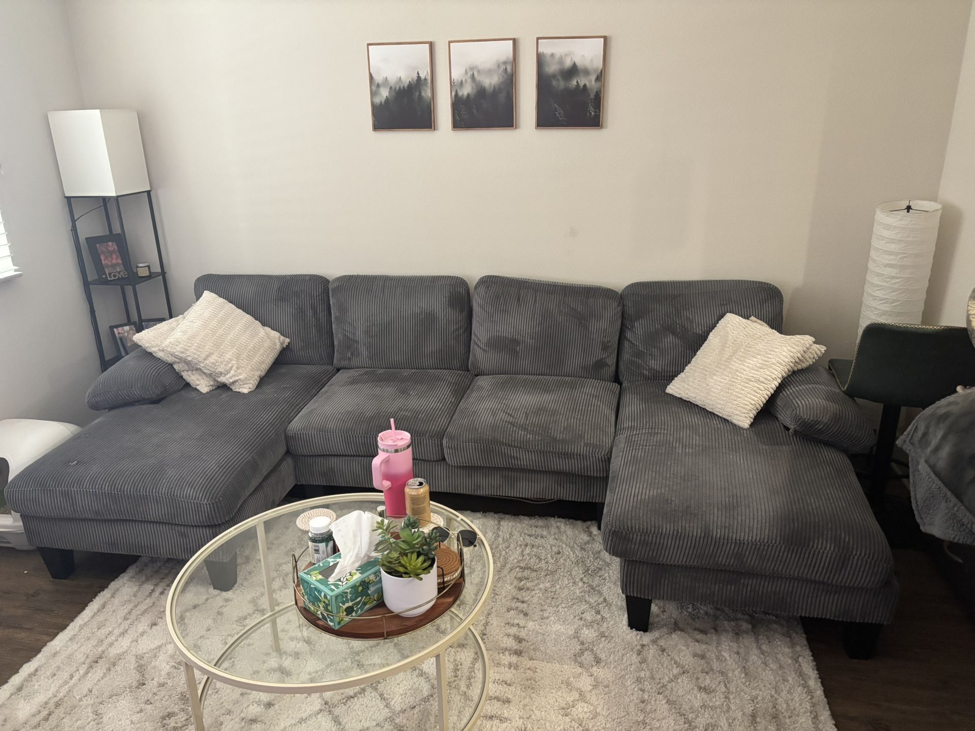Gray Couch
