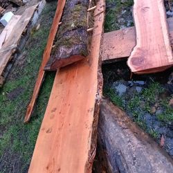 Project Wood Slabs