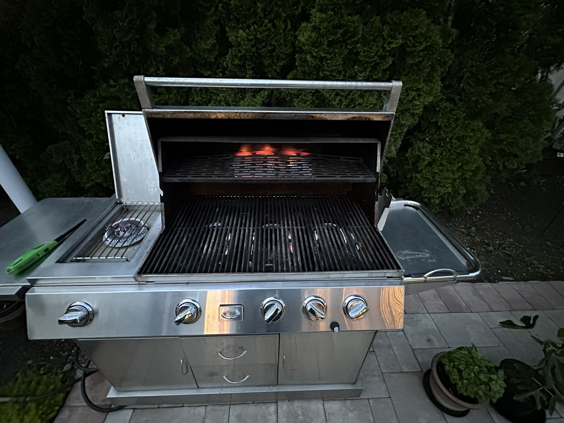 NICE Kirkland Stainless Steal Natural Gas Barbeque Barbecue Grill Works