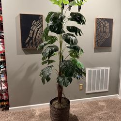 8 Foot Artificial Plant