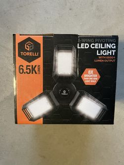 Garage Ceiling Light