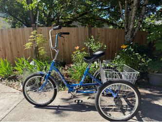 Adult trike/bike