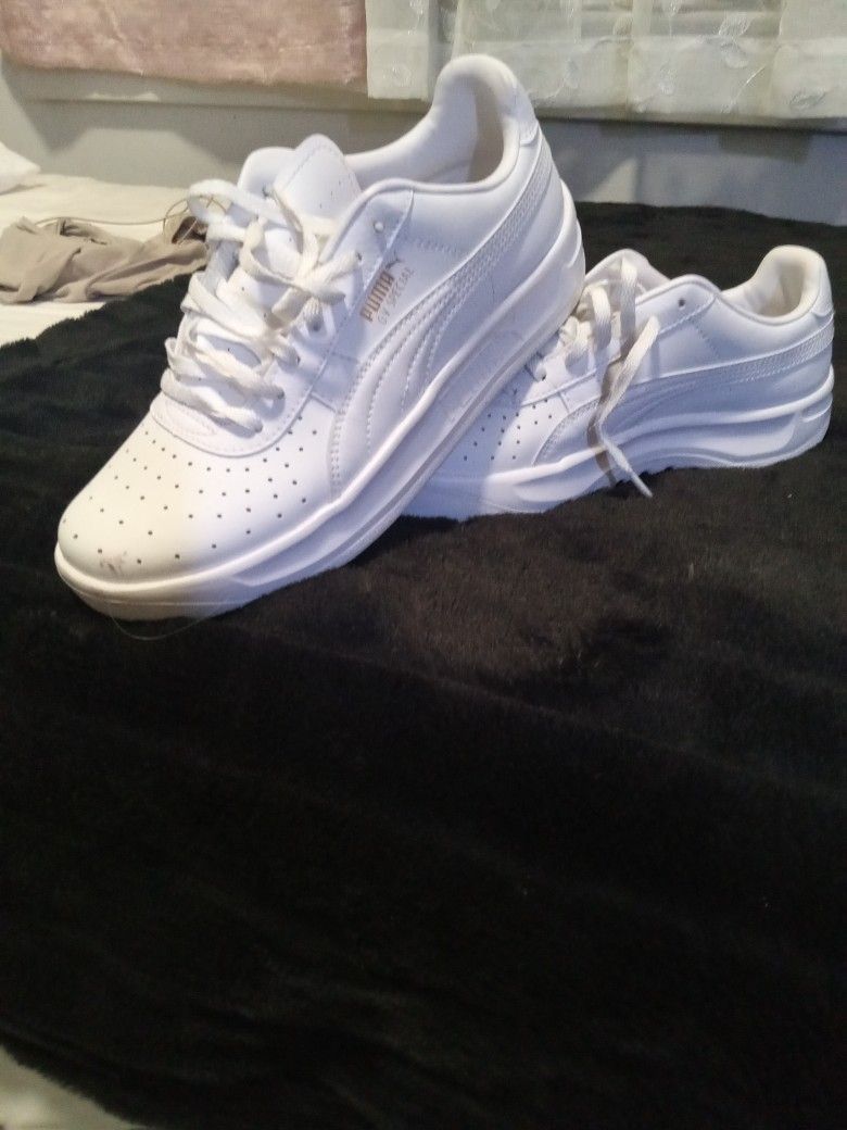 Pumas