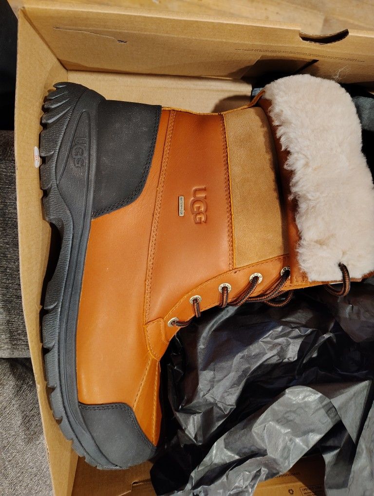 Uggs Boots
