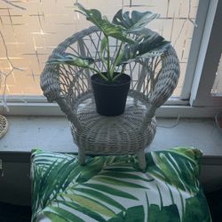 Wicker Chair Plant Holder 