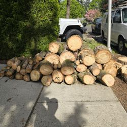 FREE Fresh Cut Wood. 