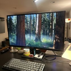 27” Monitor - Acer h276hl