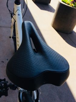 Specialized vita blue book sale