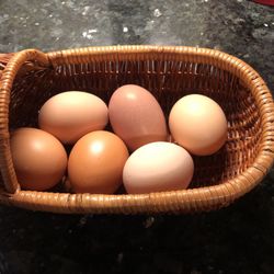 Organic Eggs 