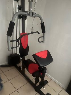 El gym
