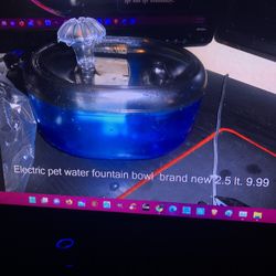 Electric Pet Drinking Bowl