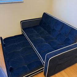 2 Pull Out Bed Couches