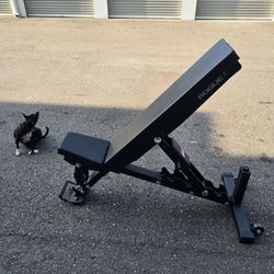 Weight Rogue Bench 